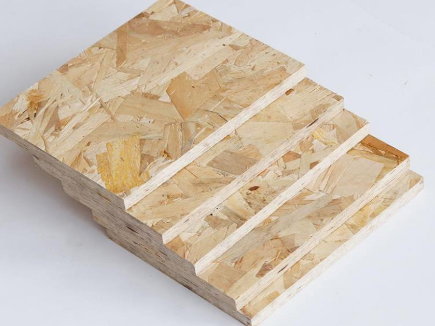 ŷ�ɰ塪�������������