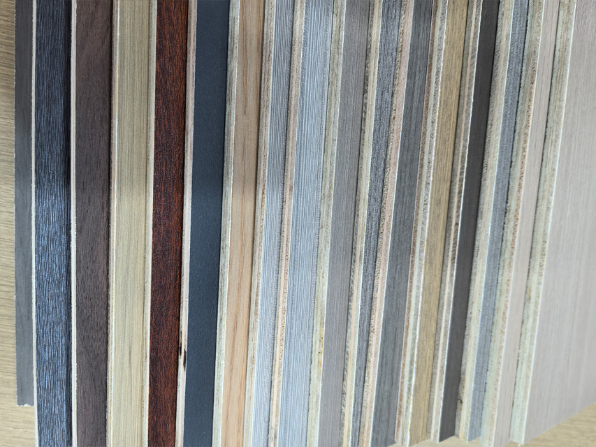 ����塪�������������